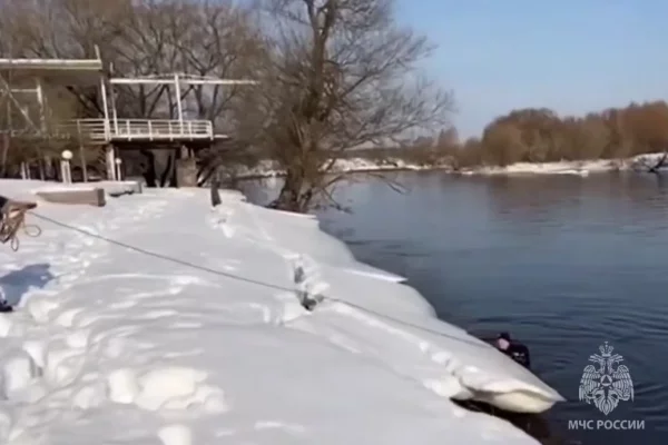 В Звенигороде обнаружили тело пропавшей девочки
