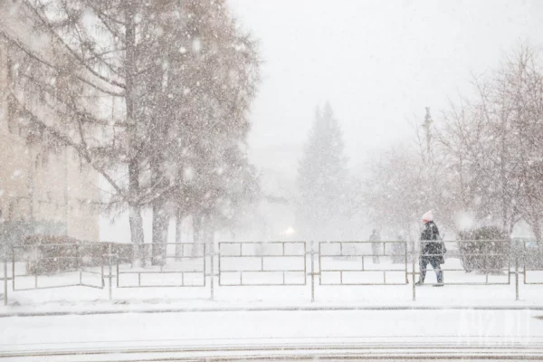 Синоптики: в Кузбассе 7 февраля потеплеет до +2, начнутся снегопады