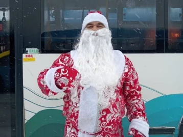 Фото: Снегурочки и Деды Морозы выходят на маршруты общественного транспорта в Кемерове 3