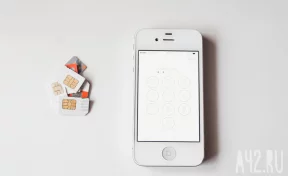 Жительница Кузбасса пожаловалась на мошенничество в мессенджере MAX 