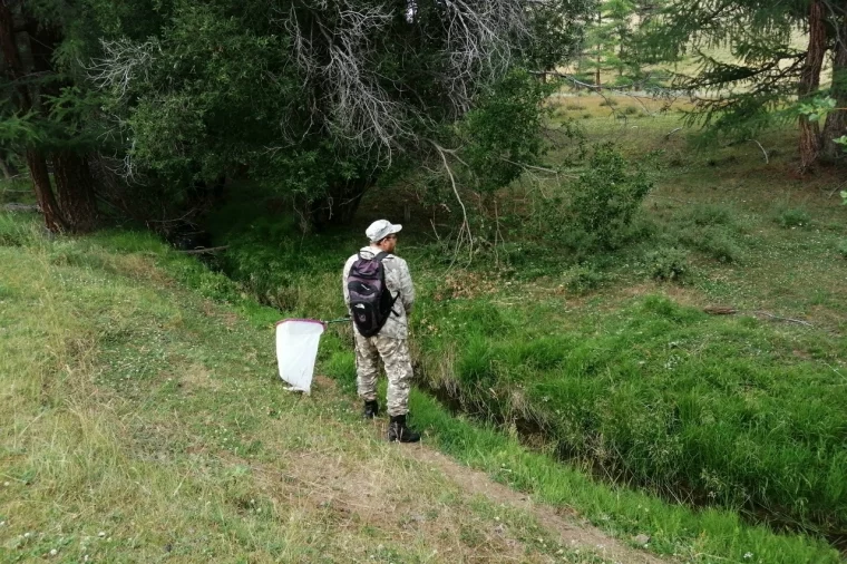 Фото: Алексей Коршунов