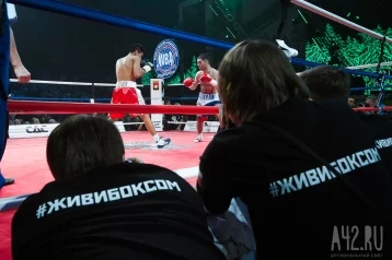 Фото: В Кемерове устроят массовую тренировку по боксу 1