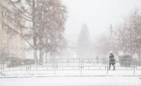 Синоптики: в Кузбассе 7 февраля потеплеет до +2, начнутся снегопады