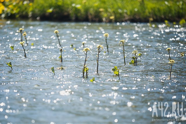 В Индии омыли общественный резервуар с водой коровьей мочой после «неприкасаемой» женщины