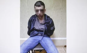 В Росгвардии рассказали, как обезвредили мужчину с ножом после убийства девушки в кафе Новокузнецка