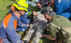 В Алтайском крае МЧС эвакуировало туриста с травмой позвоночника