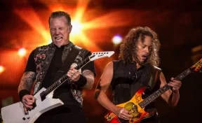 Женщине удалось избежать нападения пумы благодаря песне группы Metallica