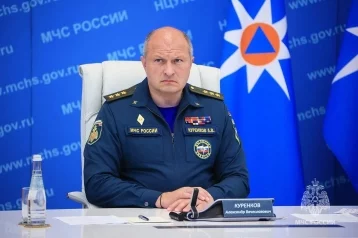 Фото: Глава МЧС потребовал ликвидировать лесные пожары в Сибири до 27 июля 1