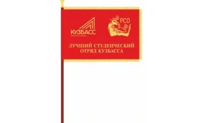 В Кузбассе учредили новую награду правительства региона