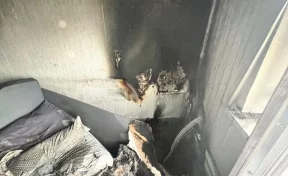 В Подольске при пожаре погибли мальчики 2 и 4 лет