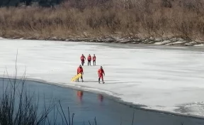 Кемеровские спасатели вынесли на берег детей, оказавшихся на тонком льду Томи