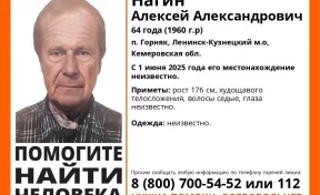 В Кузбассе ищут 64-летнего мужчину, пропавшего 1 июня