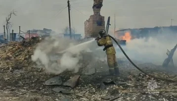 Фото: Названа возможная причина пожара, охватившего десятки домов в Курганской области 1