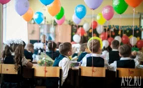 Онлайн или лично в школе: в Кузбассе с 29 марта начнётся приём детей в первый класс