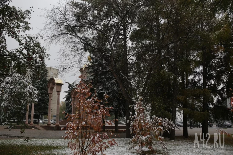 Фото: В Кемерове выпал первый снег: фоторепортаж 14