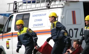 В Кемерове спасатели помогли мужчине спуститься с крыши 