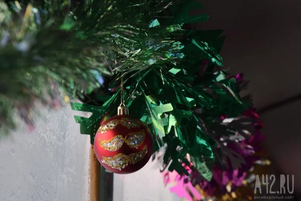 В России более 86 000 человек встретят Новый год в поездах