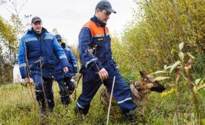 В Кузбассе завершились поиски пропавшего без вести 86-летнего мужчины