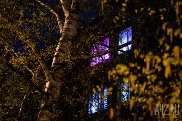 Фото: В Кузбассе мужчина устроил стрельбу на балконе 1