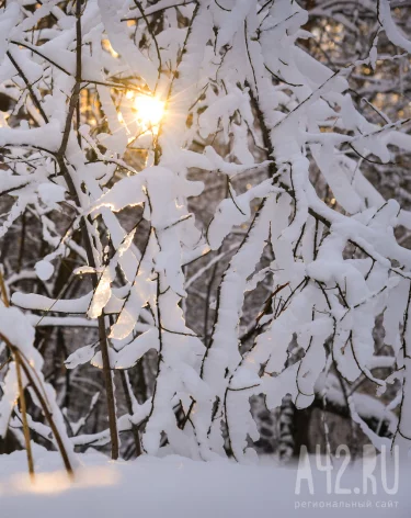 День Андрея Зимнего: народные приметы на 13 декабря