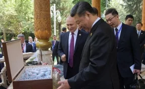 Путин подарил Си Цзиньпину российское мороженое