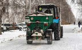 Лёд, соль, травмы и мёртвые косули. Чем опасны и чем полезны противогололёдные реагенты в Кузбассе