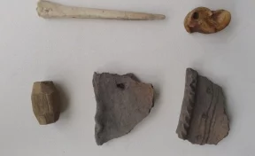 Кемеровские школьники нашли останки ритуальных животных и украшения из костей