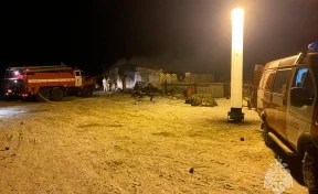 В Оренбургской области заживо сгорели 90 животных