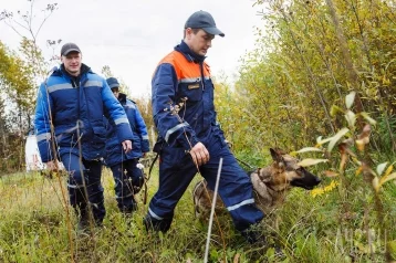 Фото: В Кузбассе завершились поиски пропавшего без вести 86-летнего мужчины 1
