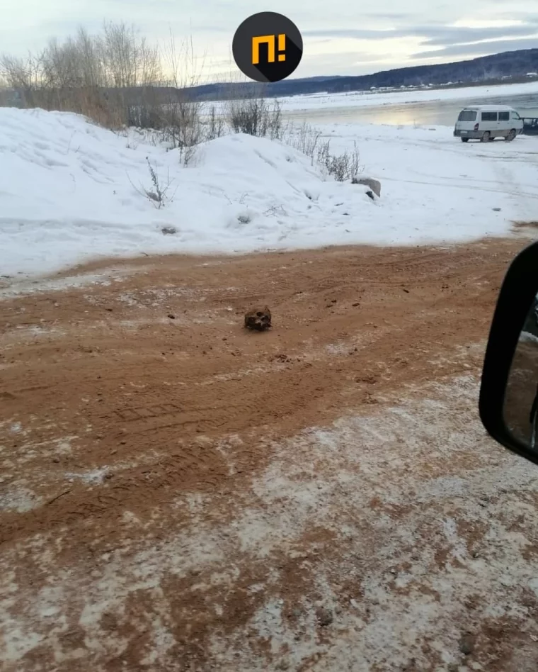 Фото: В Иркутской области дорогу посыпали песком с человеческими останками 2