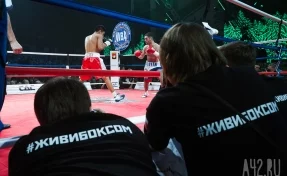 В Кемерове устроят массовую тренировку по боксу