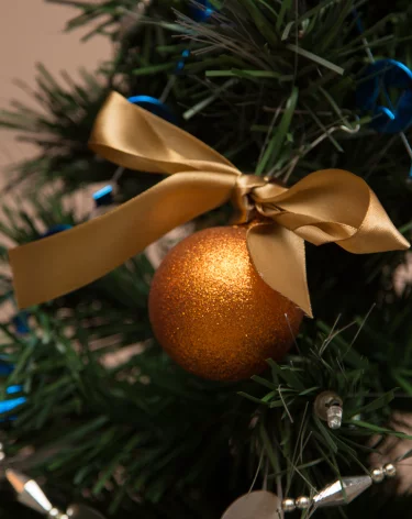 Кемеровчане рассказали, любят ли они дарить и принимать новогодние подарки