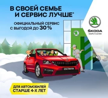 Фото: Зимнее предложение от ŠKODA: сервисные работы с выгодой до 30% 1