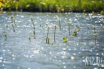 Фото: Утонула в озере: жительница Кузбасса пойдёт под суд за гибель 13-летней племянницы 1