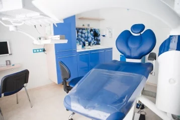 Фото: Малый бизнес в лицах. Сеть стоматологических клиник «Алёна», где кузбассовцев избавляют от страха лечить зубы 3