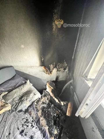 Фото: В Подольске при пожаре погибли мальчики 2 и 4 лет 1