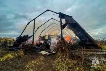 Фото: Школьник уничтожил многотонные запасы сена в Пермском крае 1