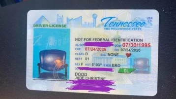 Фото: В США женщине выдали водительские права с фотографией стула 1