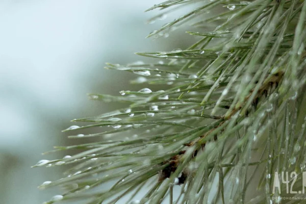 Испечь пироги и избегать перекрёстков: народные приметы на 9 октября
