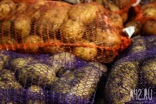 В Кузбассе за неделю цены на картофель выросли на 6%, огурцы подешевели на 12%