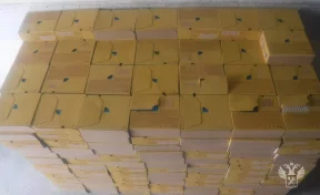 В Алтайском крае таможенники задержали 714 килограммов украинского шоколада