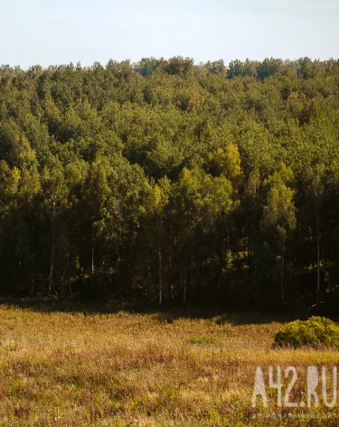 Фото: A42.RU