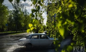 Синоптики: 14 июня в Кузбассе станет ещё жарче