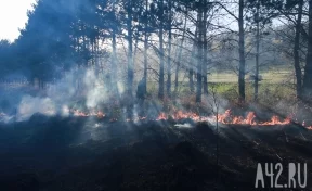 Лесные пожары: в МЧС рассказали об отсутствии угрозы для населённых пунктов Сибири 