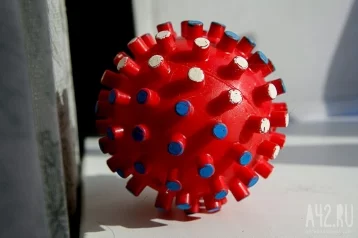 Фото: Академик Гинцбург объяснил появление нового смертоносного варианта коронавируса NeoCov 1