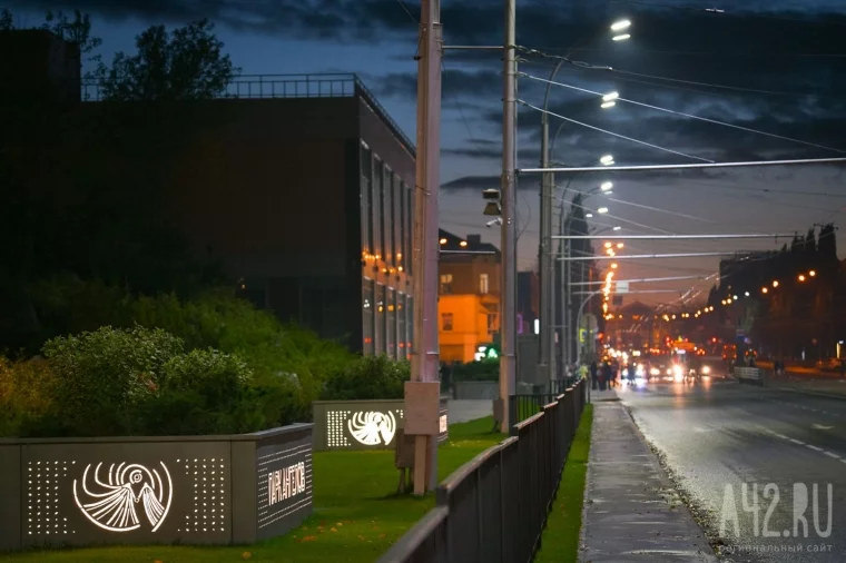 Фото: Пешеходные заборы или живая изгородь: стоимость, безопасность, помеха движению. Разбираемся, что лучше для города 4