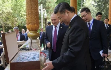 Фото: Путин подарил Си Цзиньпину российское мороженое 1