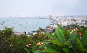 В Таиланде ищут пропавшую 2 недели назад россиянку