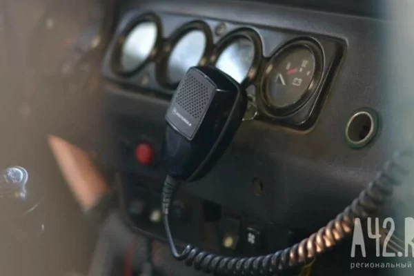 В Новосибирске толпа подростков избила трёх школьников, снимая расправу на видео