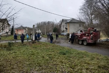 Фото: В Кемерове в Предзаводском начали массово вырубать заросли клёна 1